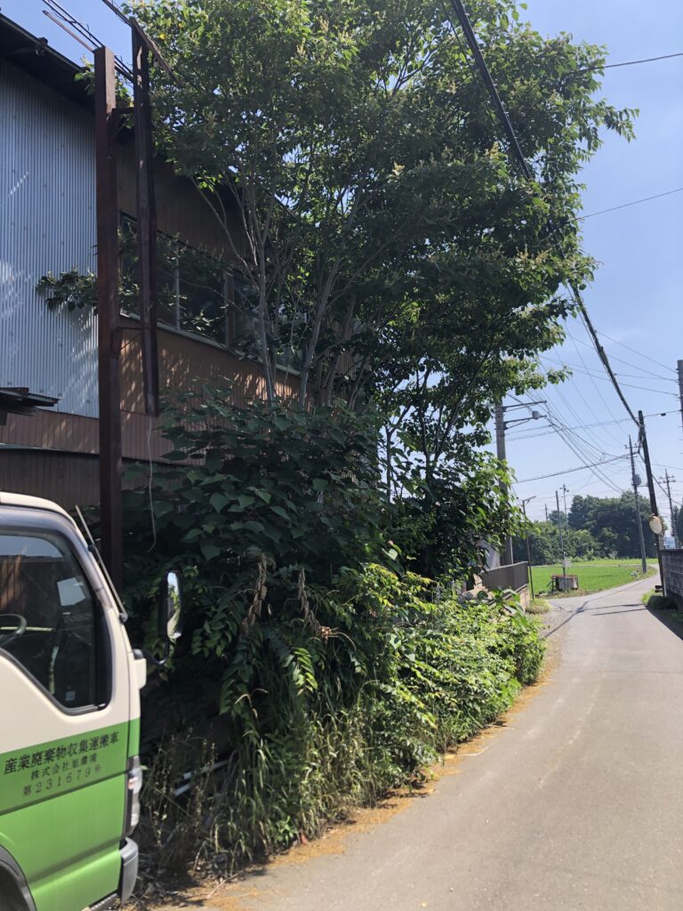 施工前